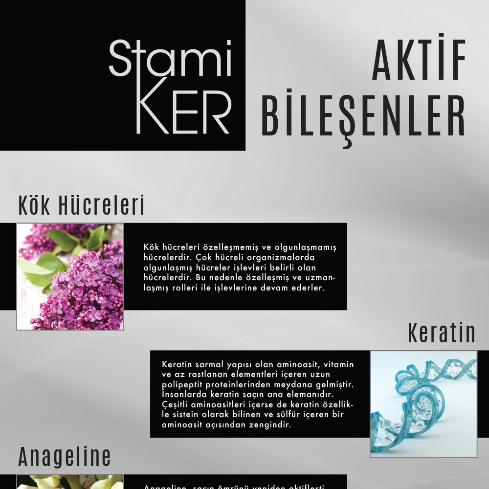 Stamiker